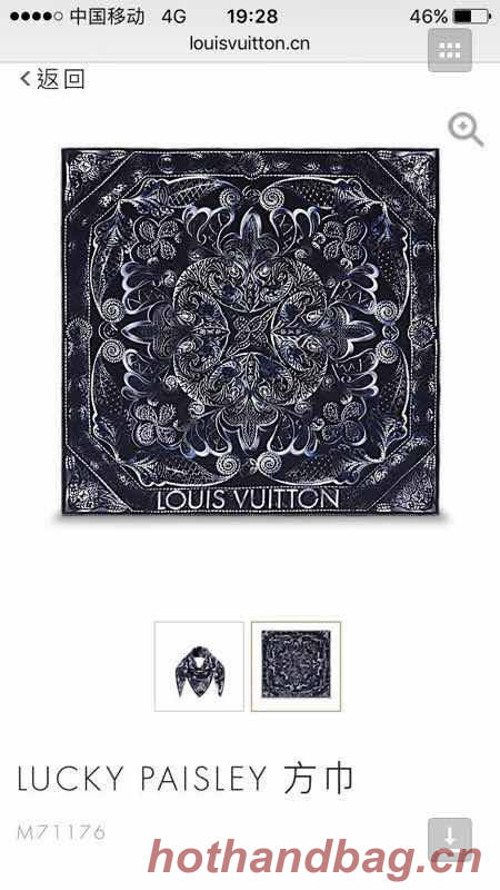 Louis Vuitton Scarf LVS00156 Louis Vuitton Scarf LVS00156
